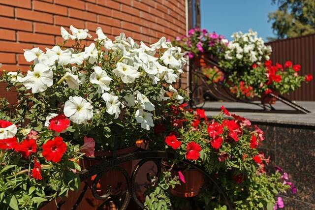 Гостиница ДК Новосибирск-38